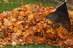 Tips for Your Fall Chore List