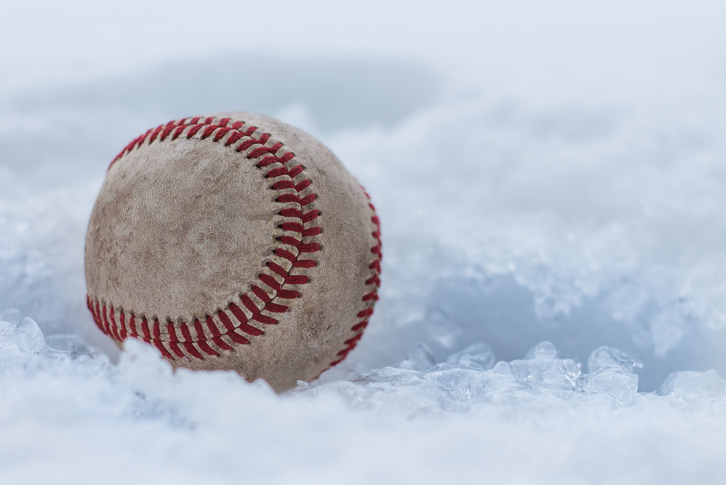 Maximizing the Baseball Off-Season: Laying the Foundation for the Upcoming  Season - Excel Physical Therapy